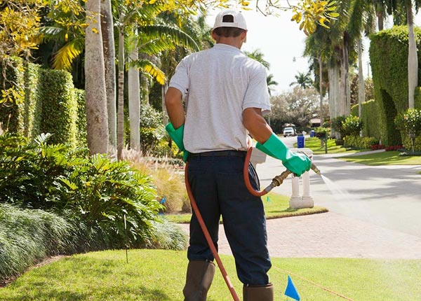 About Strafford NH Pest Control
